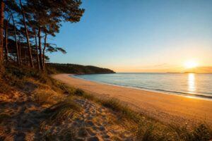 Plage de sable avec eau claire et pins au coucher du soleil pres de Paris