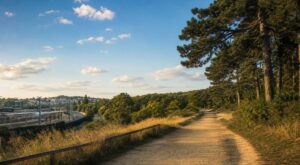 À travers la forêt royale : un voyage de la gare RER de Poissy à